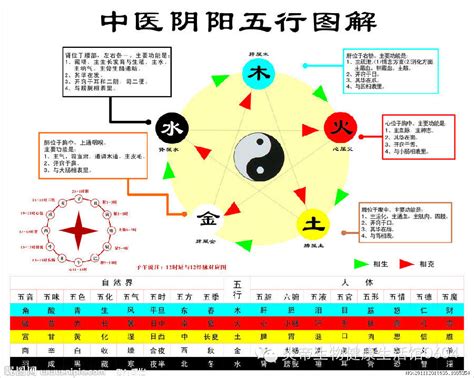 什麼克木|五行相生相剋:五行,四季五行,相生相剋,概念對應,五行。